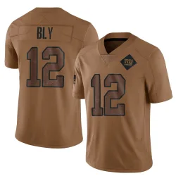 Youth Jordan Bly New York Giants No.12 Limited 2023 Salute To Service Jersey - Brown